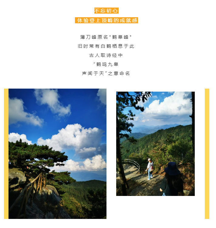 秋天了，來一場成年人的秋游吧(圖2)