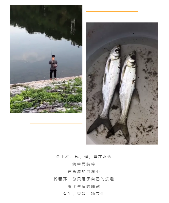 秋天了，來一場成年人的秋游吧(圖5)