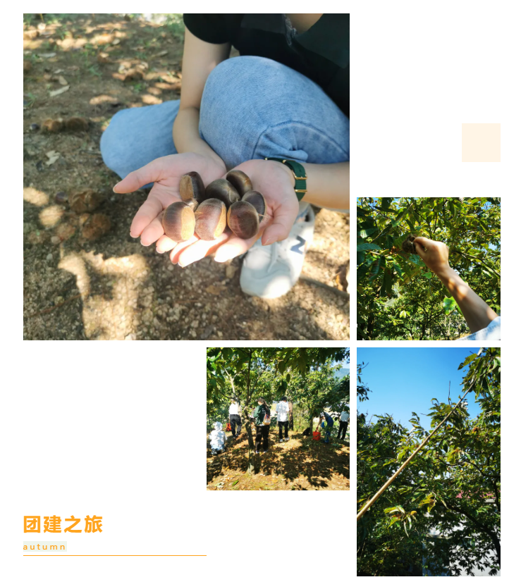 秋天了，來一場成年人的秋游吧(圖6)